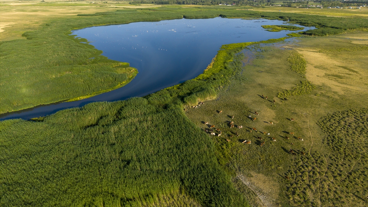 "Şubatta yağışlar mevsim normallerinin altında gerçekleşti"