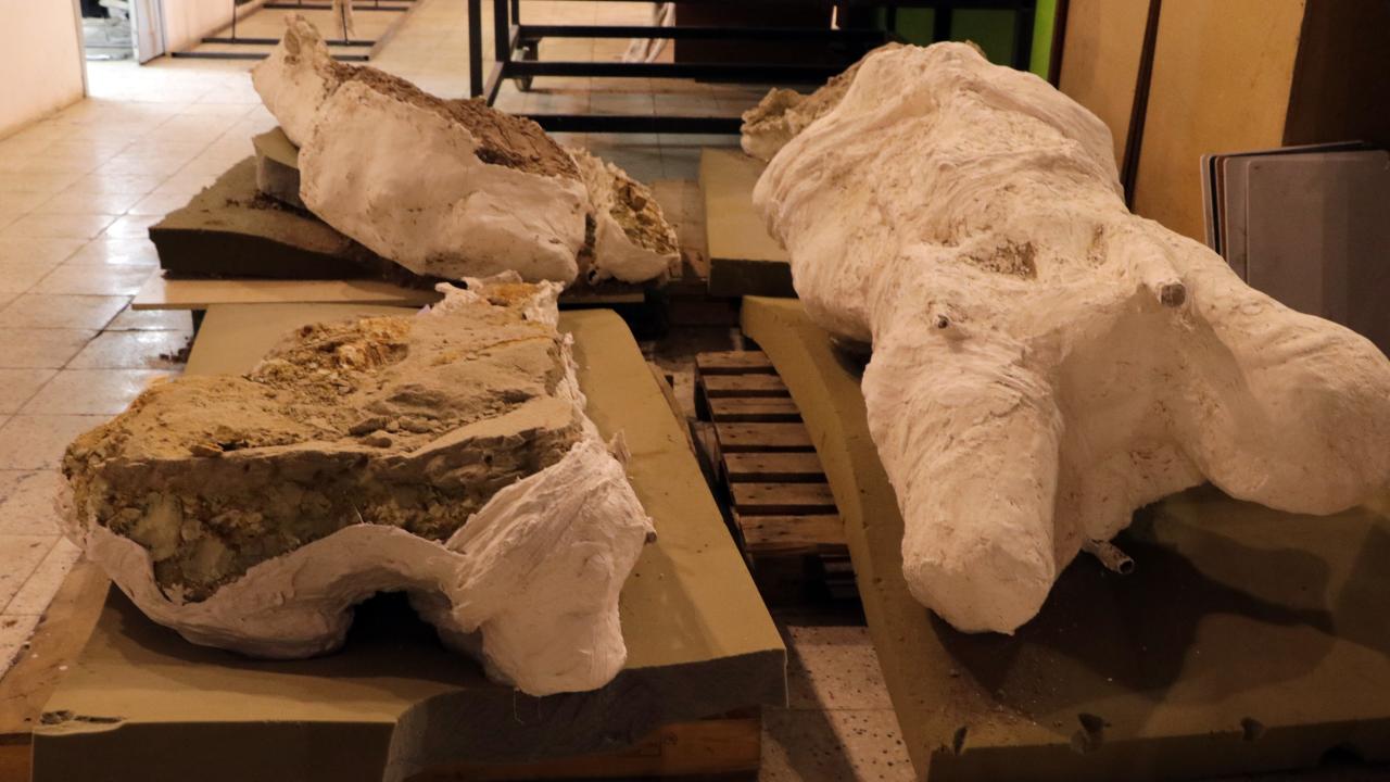 "Biz oraya artık `fil bölgesi` diyoruz"