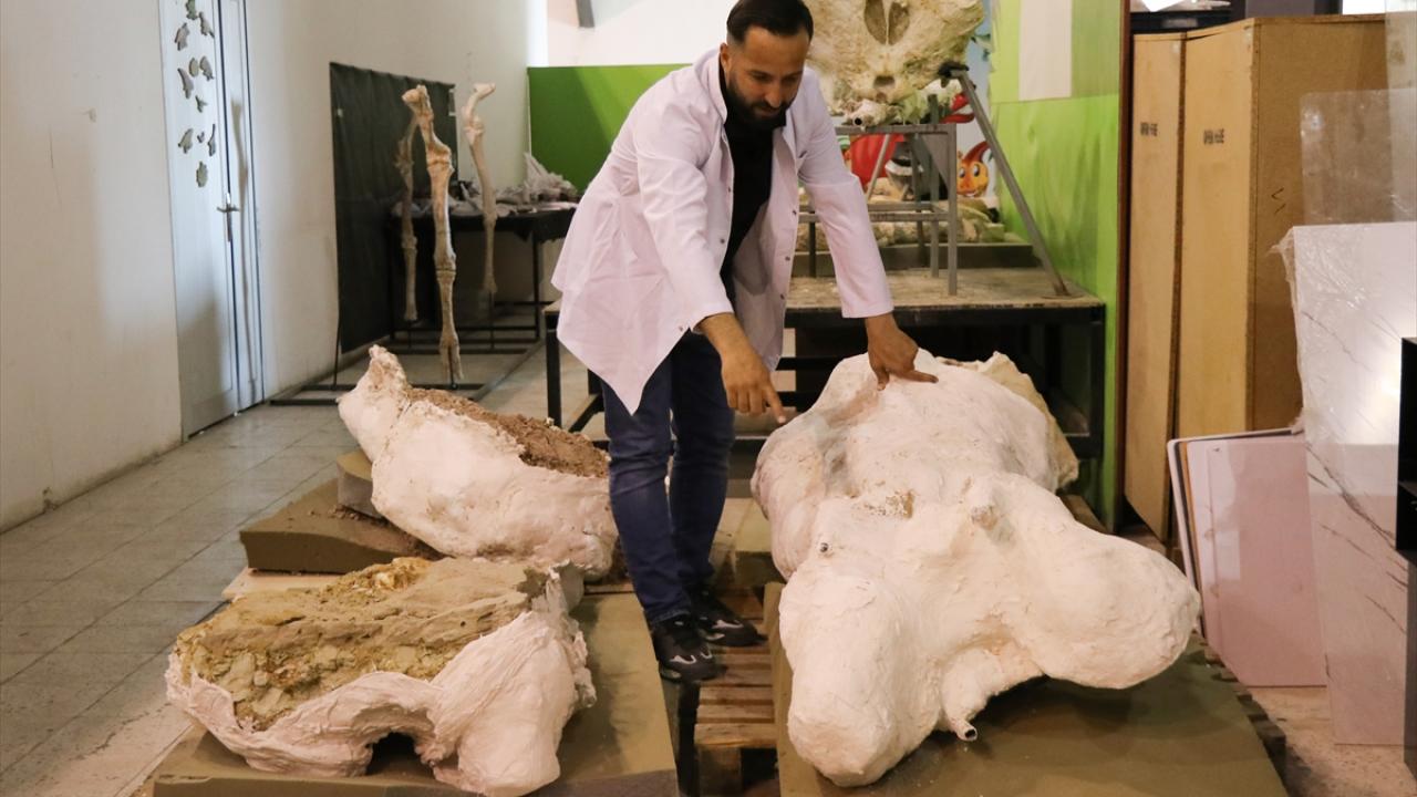 Dev fosillerin korunma durumu, dünya literatürü tarafından dikkat çekici bulundu