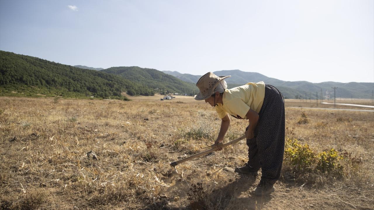 "Güneşin karşısında çalışmak çok zor oluyor"