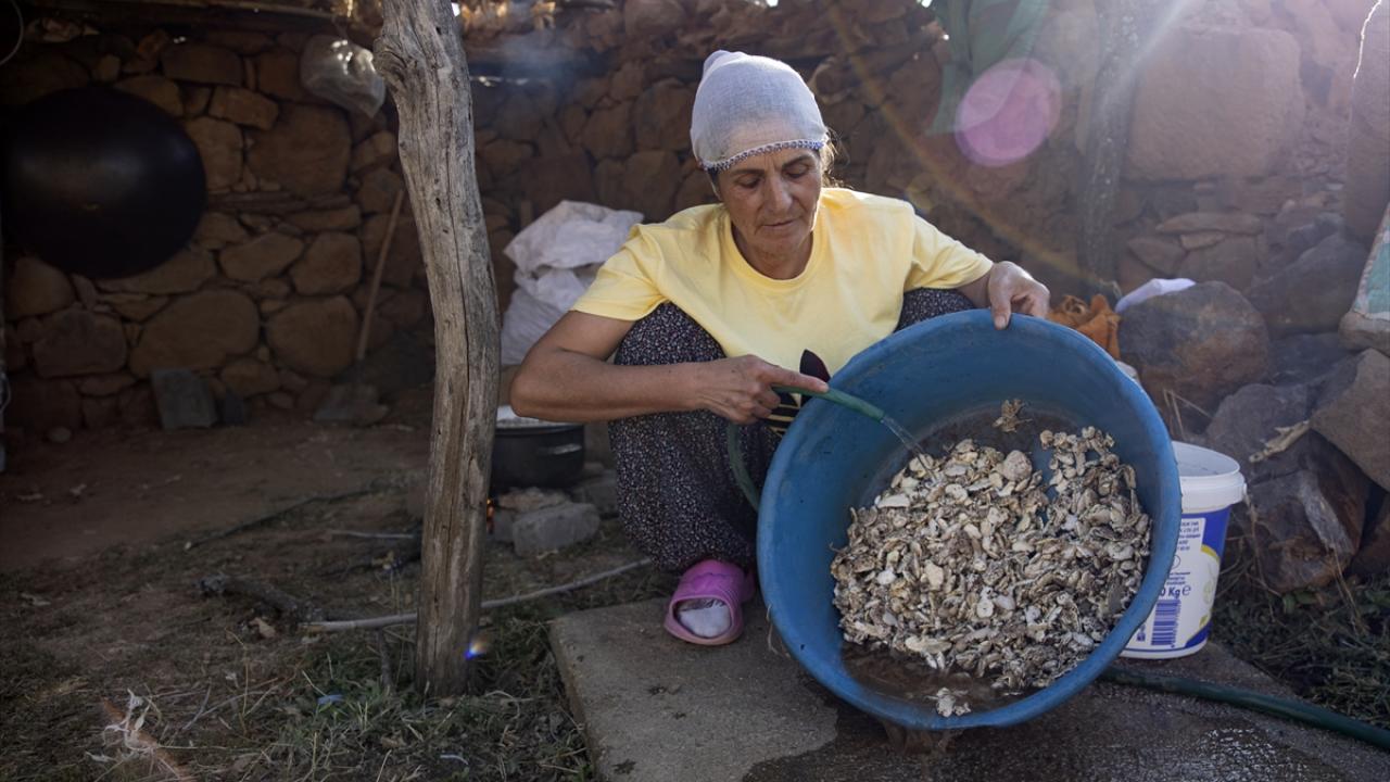 Sakızları zorlu mesaiyle atıklardan temizliyorlar