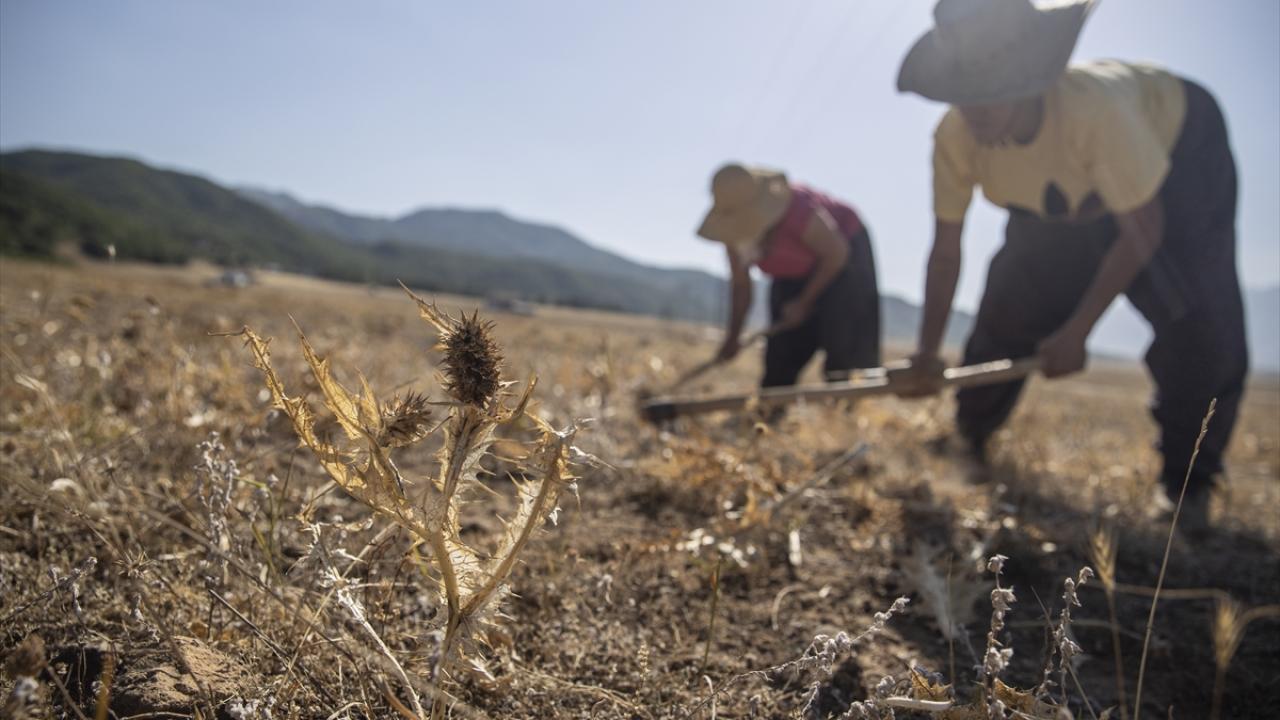 Sağlığı korumaya yönelik faydaları var