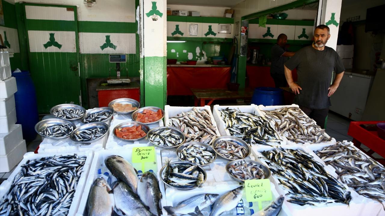 Giresunlu balıkçılar deniz suyunun soğumasını bekliyor