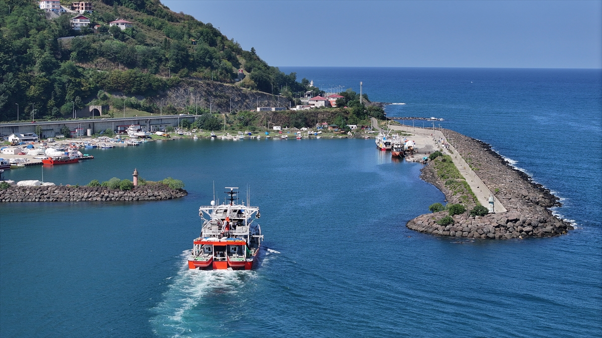 Trabzonlu balıkçılar hamsi avının bol olacağına inanıyor