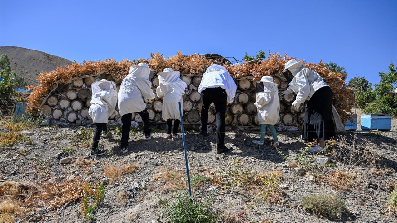 "Bu yıl yüksek bir verim almayı bekliyoruz"