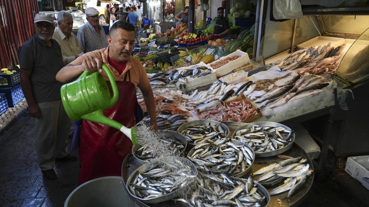 Ege'de balıkçılar sezona bereketli başladı
