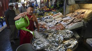 Ege'de balıkçılar sezona bereketli başladı