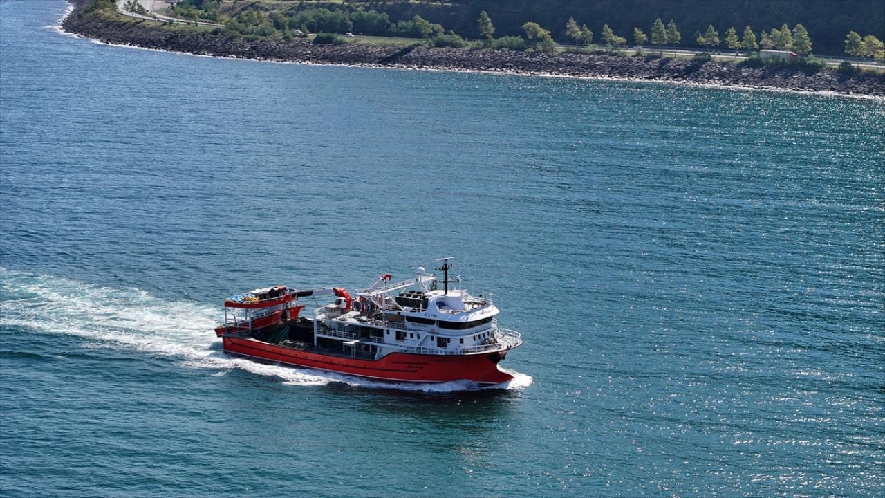 Balıkçıların tezgahlarında yeni sezonda en çok istavrit yer alıyor