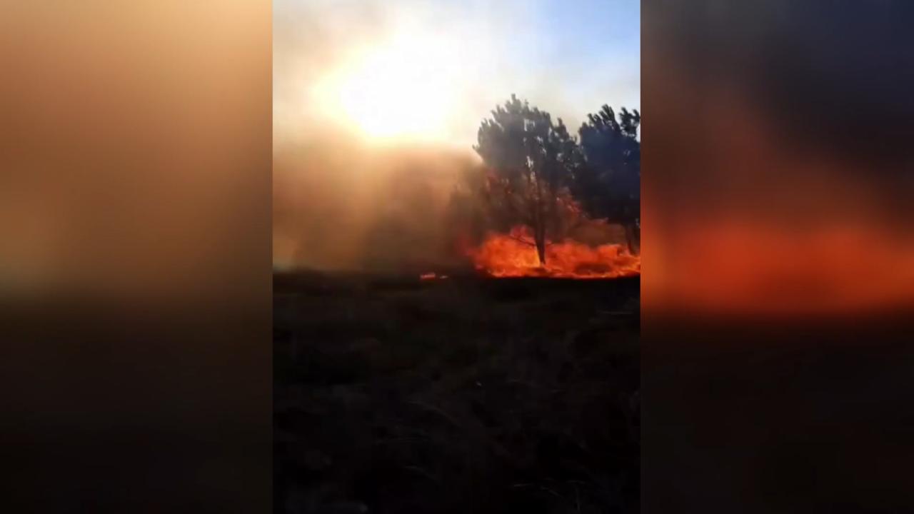Bursa’da çıkan orman yangınına müdahale ediliyor