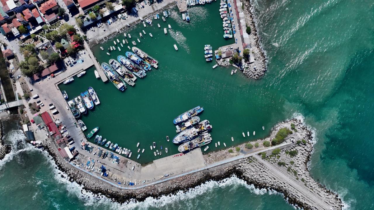 Düzceli balıkçılar yeni sezonda hamsiden umutlu