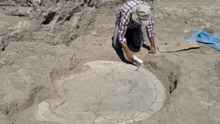 Elazığ'da arkeolojik kazılarda 6 bin yıllık "boğa başlı sunak" bulundu