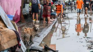 Endonezya'nın Bali Adası'nda şiddetli yağışların yol açtığı sellerde 6 kişi öldü