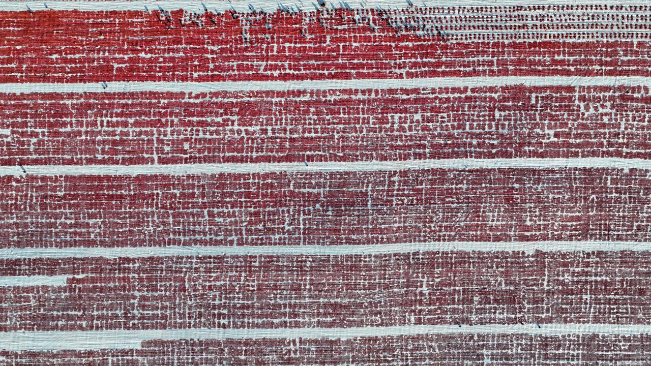 Erciyes eteklerindeki devasa araziler domates kırmızısıyla renklendi