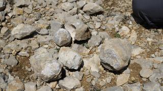 2 bin 587 rakımlı dağın zirvesinde deniz fosilleri bulundu