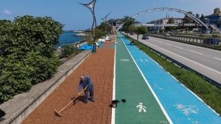 Giresun’da hasat edilen fındıklar kurutuluyor
