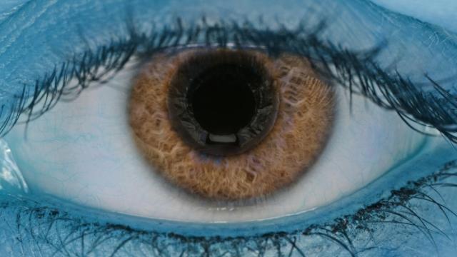 Göz Sağlığı, Alzheimer Riskinin Erken Belirlenmesinde Yeni Bir Araç Olabilir