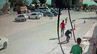 Hatay'da sokak köpeklerinin saldırdığı çocukları çevredekiler kurtardı