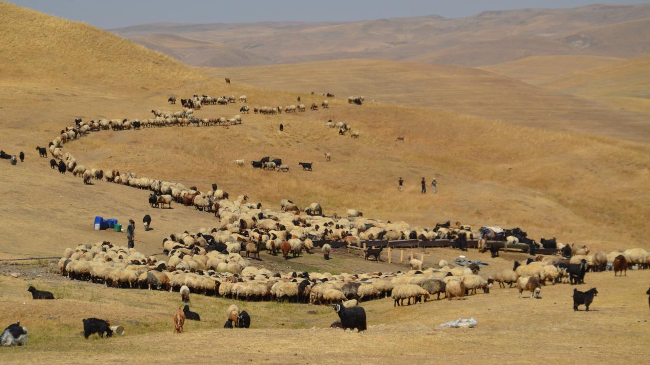 Havanın soğumasıyla yaylacıların dönüş yolculuğu başladı