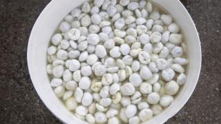 Köylülerin kengerden ürettiği sakızın kilogramı 5 bin liradan alıcı buluyor