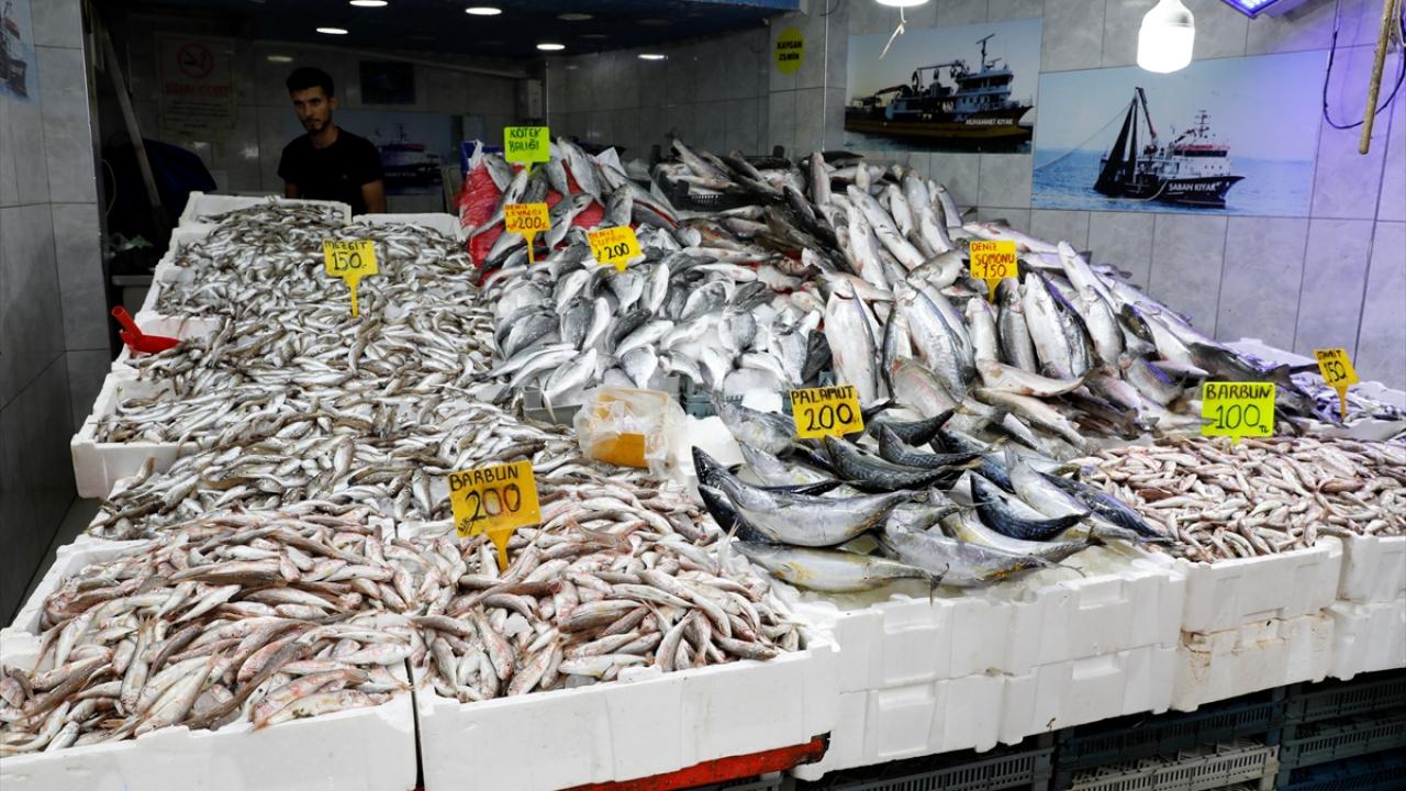 Samsun'da hamsi tezgahta 200-300 liradan satılıyor