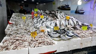 Samsun'da hamsi tezgahta 200-300 liradan satılıyor