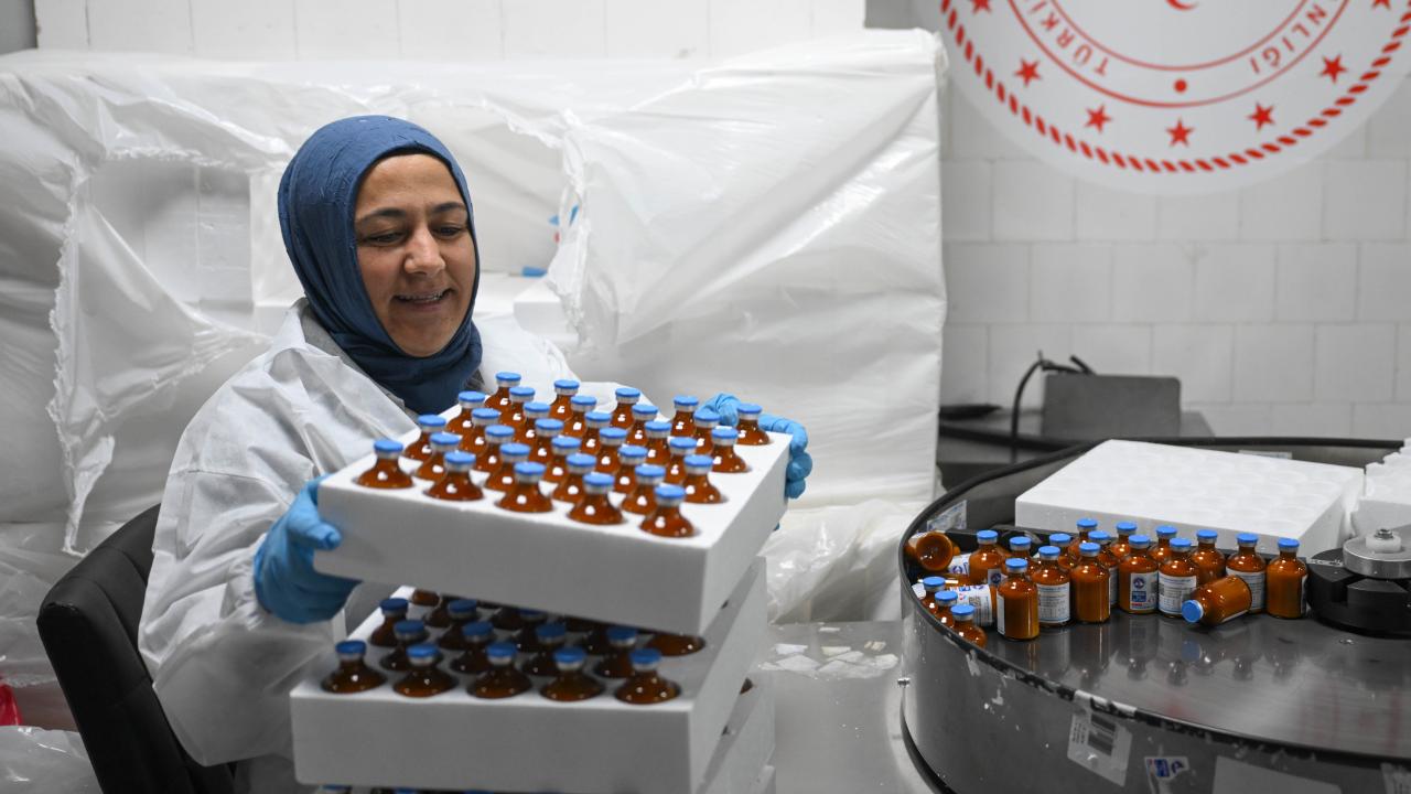 Şap hastalığının yeni serotipine karşı yaklaşık 15 milyon doz aşı sahaya sevk edilecek