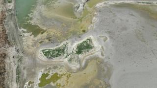 Tekirdağ'da göletler kurudu, adacıklar oluştu