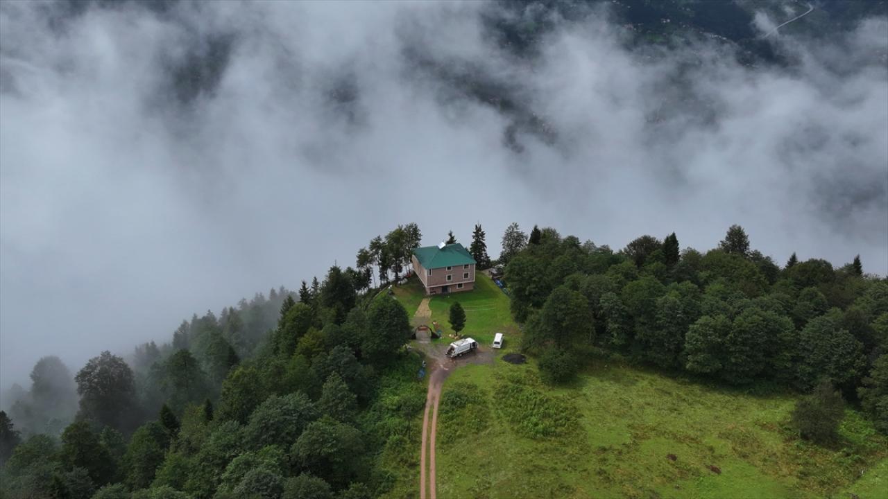 Trabzon'un yüksek kesimlerinde sis etkili oldu