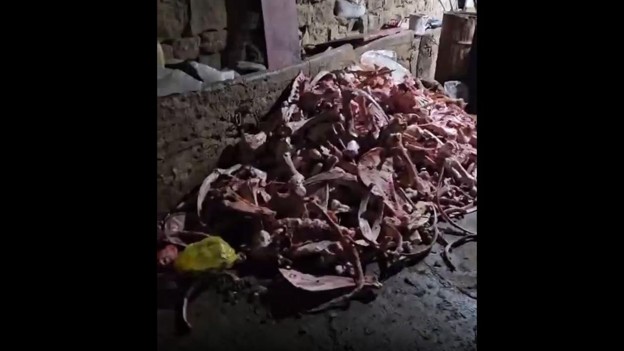 Kayseri'de yaklaşık 1,5 ton mühürsüz ve uygunsuz et imha edildi