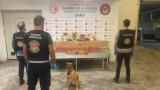 Sarp Sınır Kapısı ve İstanbul'da 601 kilogram uyuşturucu ele geçirildi