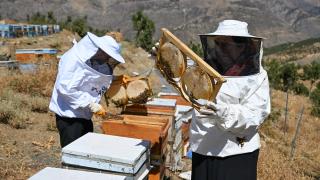 Şehir hayatını bırakarak 30 kovanla arıcılığa başlayan çift, siparişlere yetişemiyor