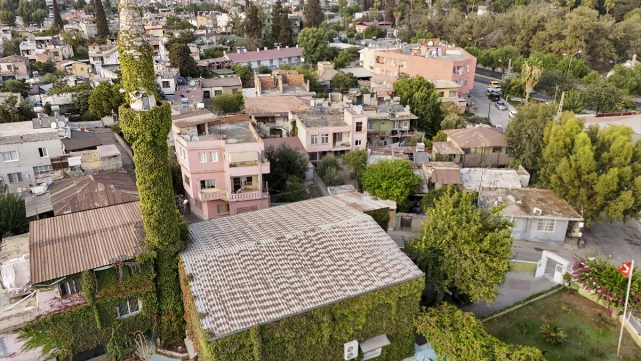 "Yeşil cami" sarmaşıklarıyla botanik bahçesini andırıyor