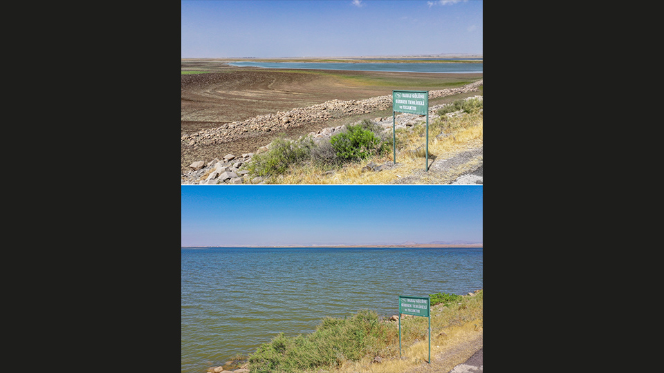"Kuraklık olunca pek çok tür olumsuz etkileniyor"