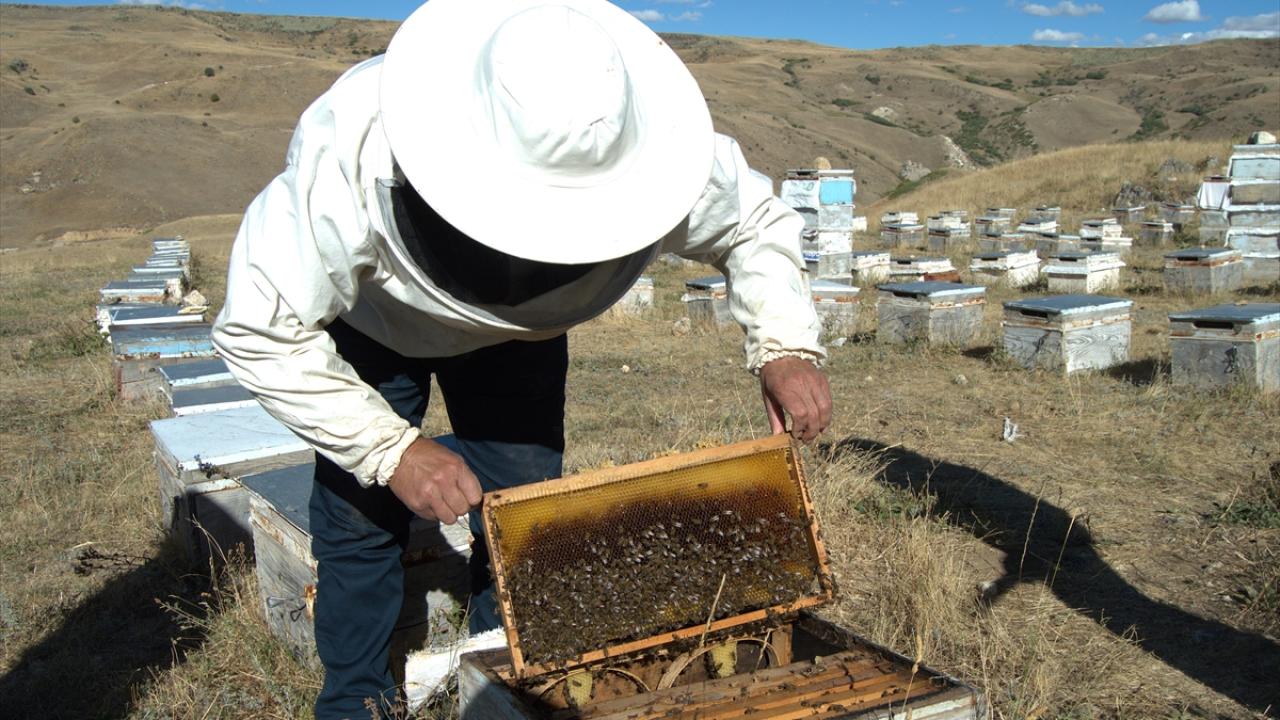 "Arıcılık, nesilden nesile devam ediyor"