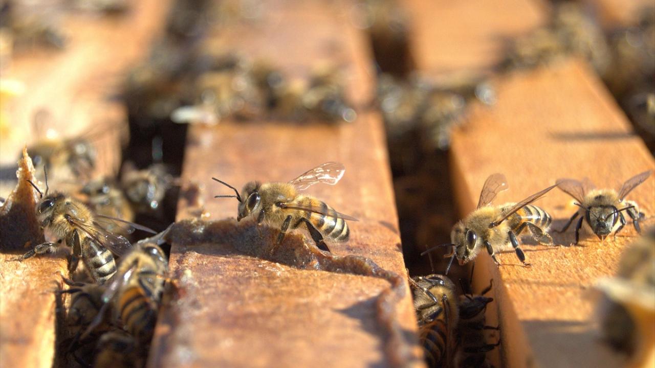 "Siparişlere yetişemiyoruz"