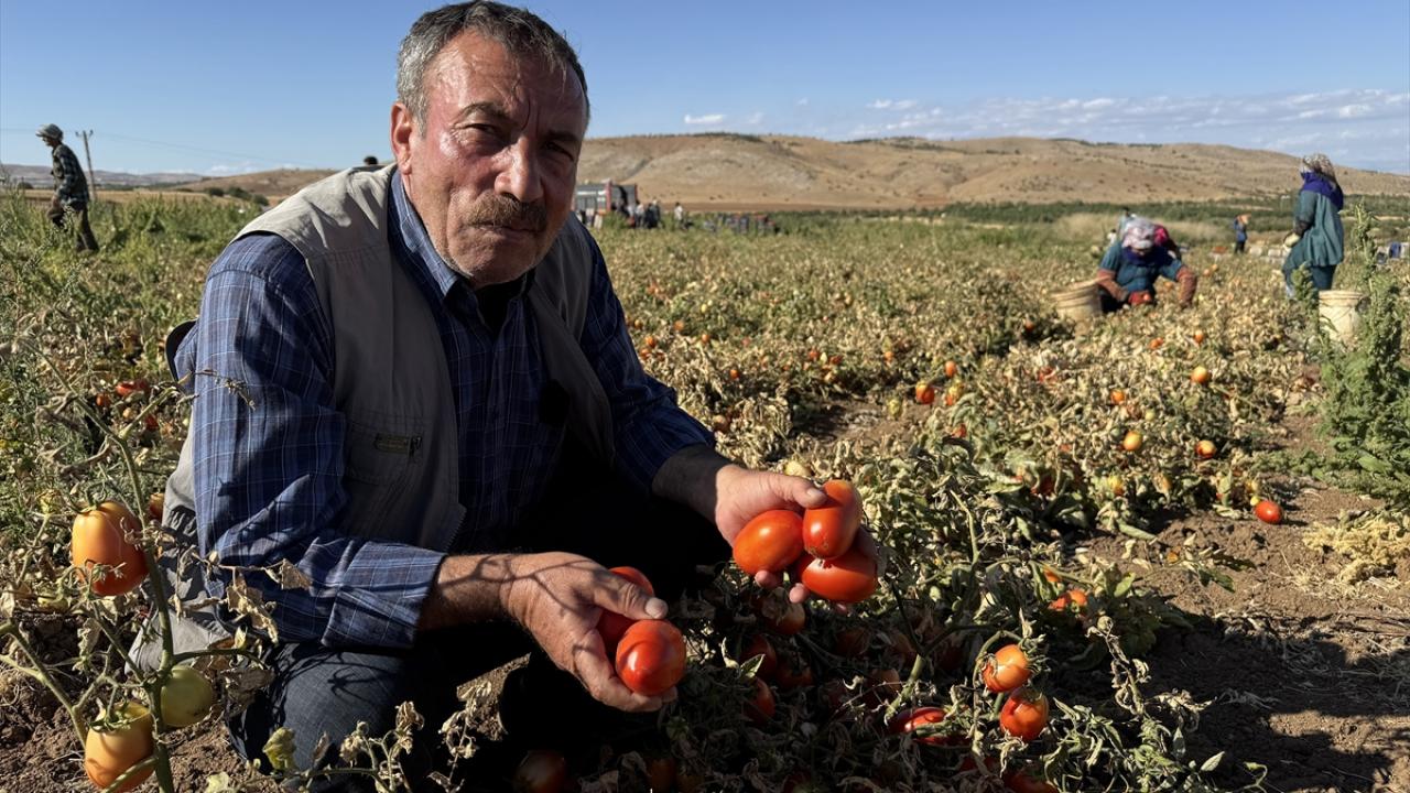 "Desteklerle daha fazla üretim yapmayı hedefliyoruz"