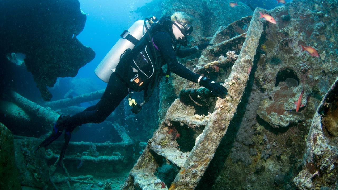 Yoğun ilgi gören Thistlegorm, zamana karşı mücadele veriyor