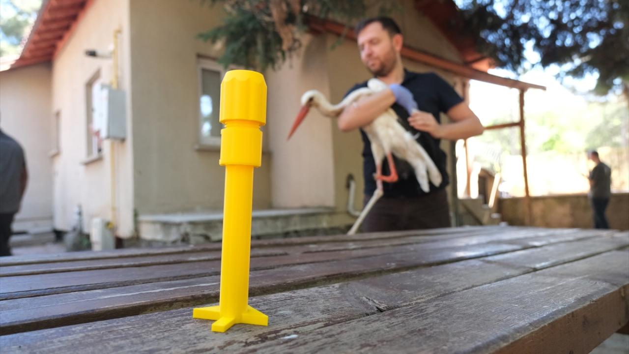 "Pamuk`un yaşama azmi bizi çok mutlu etti"