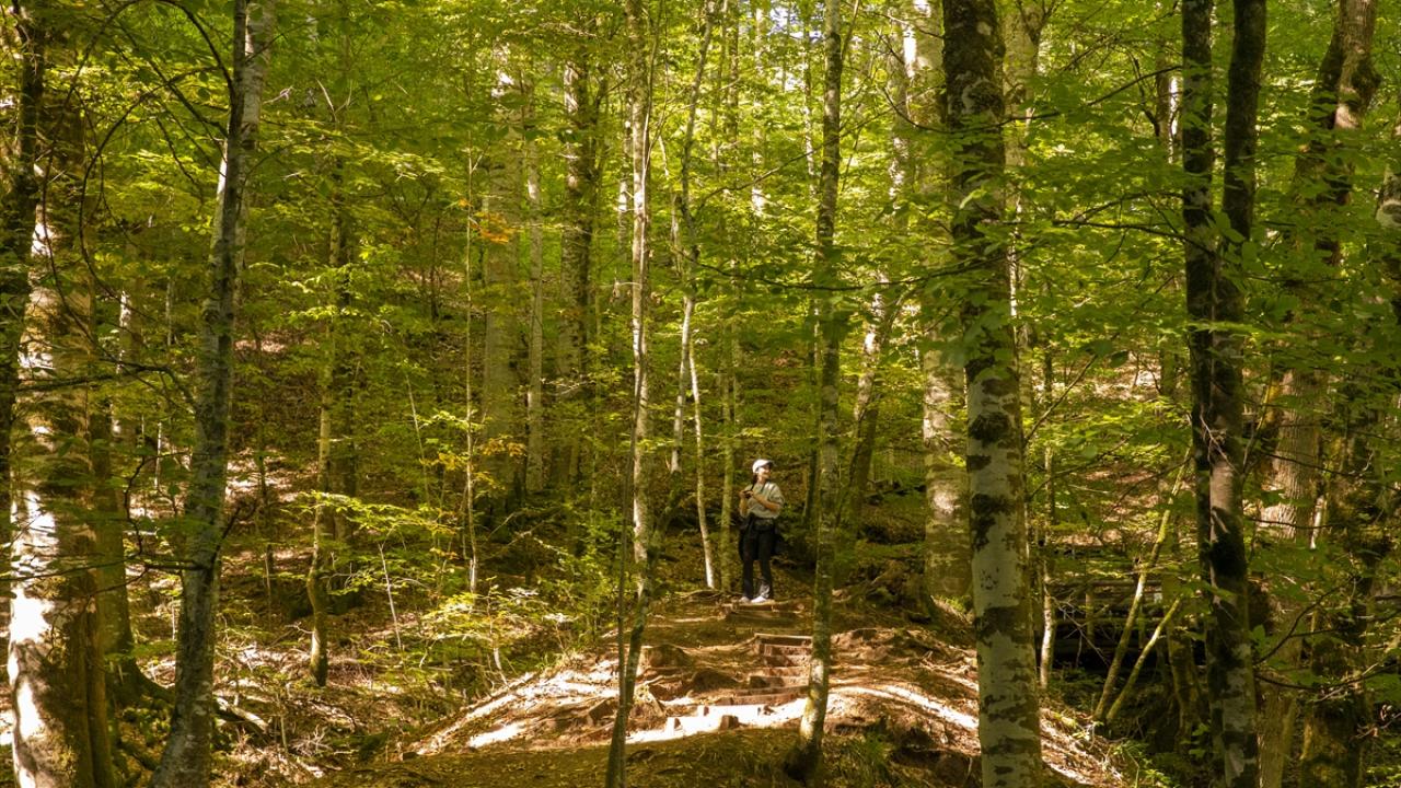 "İnsanın ruhunu dinlendiren bir yer"