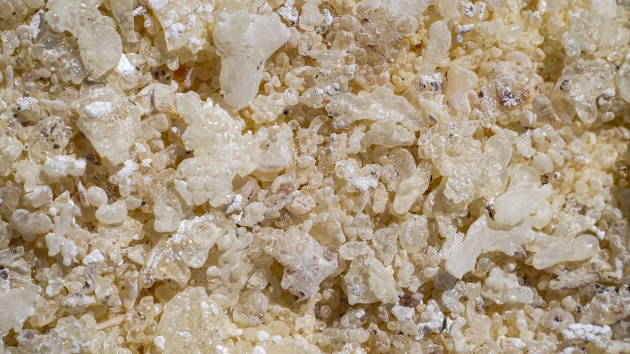 "Kilogramı 20 bin lira"