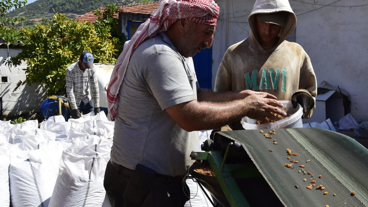 En büyük pazar İngiltere oldu