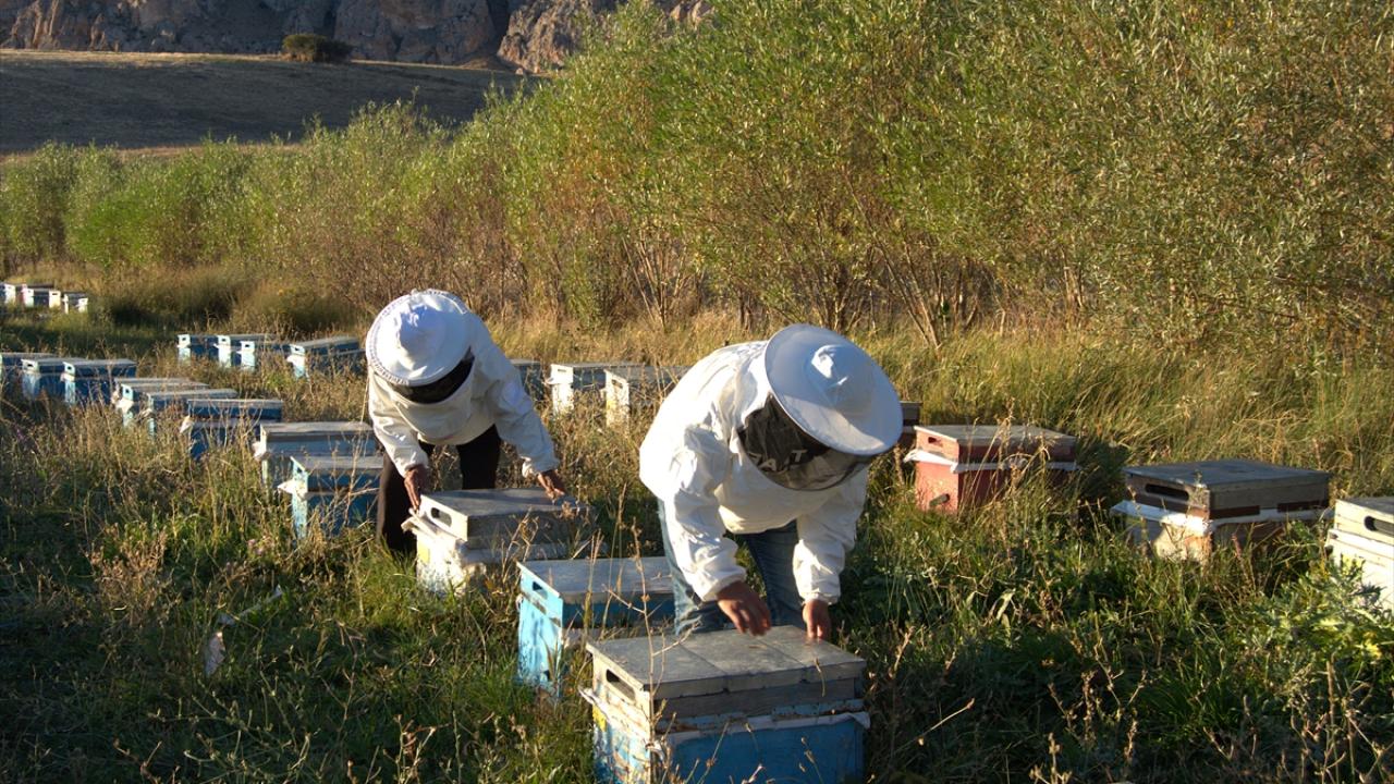 Erzurum'da 60 haneli mahallede hemen hemen her aile bal üretiyor