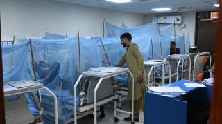 Dang humması hastaları Pakistan’da özel serviste tedavi altında