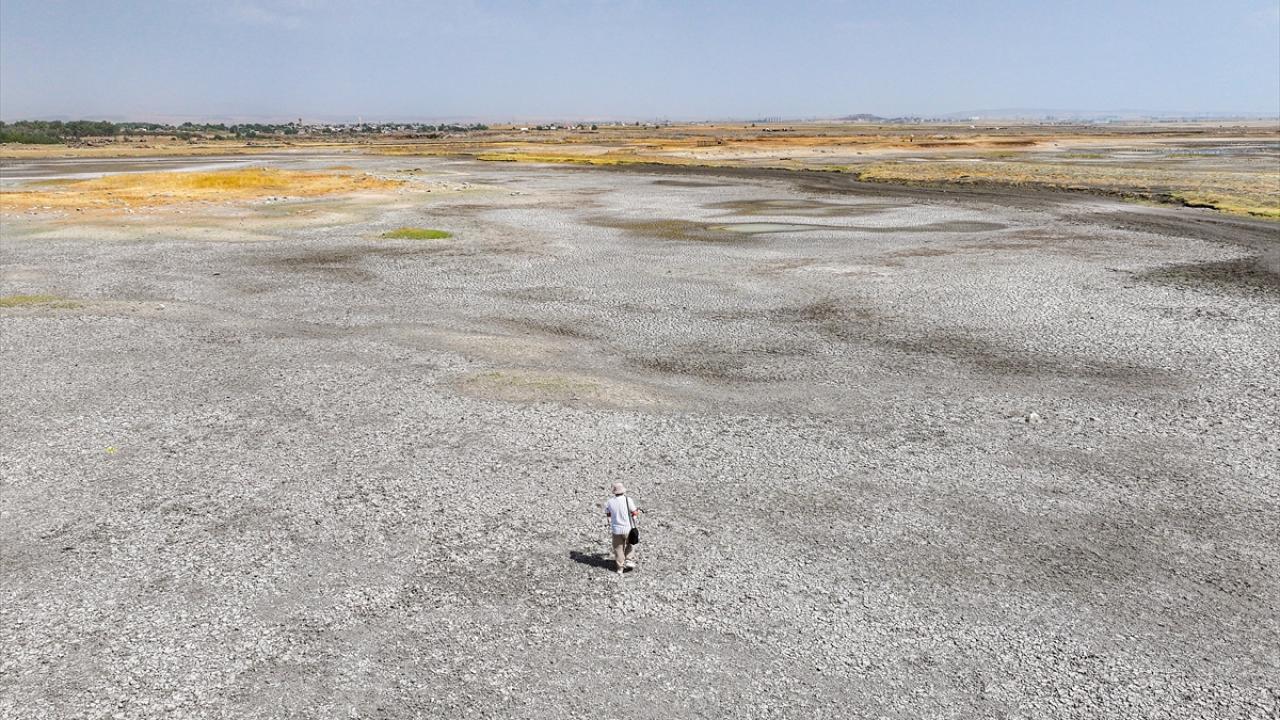 Devegeçidi Baraj Gölü'ndeki kuraklık canlı yaşamını tehdit ediyor