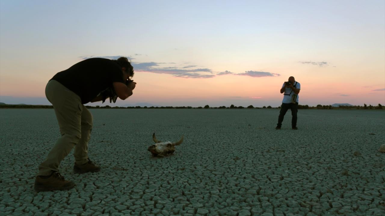 Fotoğrafçılar kuruyan Ereğli Akgöl Sazlıkları'nda yeniden kuşları görüntülemek istiyor