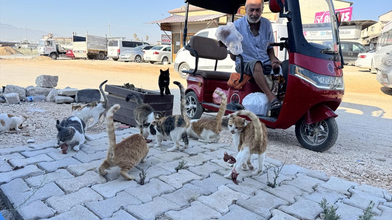 KOAH hastası depremzede, oksijen cihazından ayrıldığı saatlerde sahipsiz hayvanları besliyor