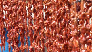 Kilis'te cevizli sucuk yapımı başladı