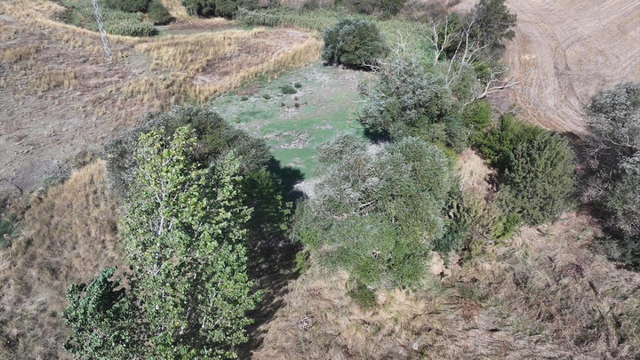 Edirne'deki Musabeyli Göleti kuraklık nedeniyle tamamen kurudu