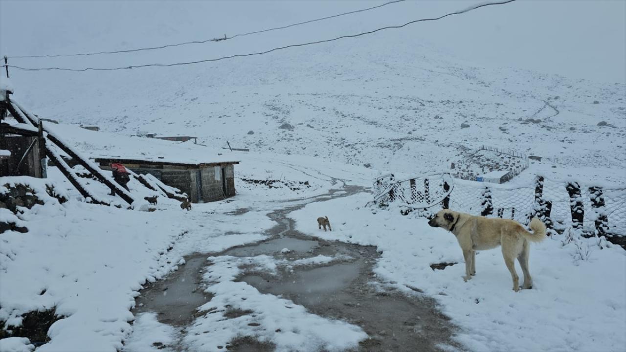 Rize'de yüksek kesimlere kar yağdı
