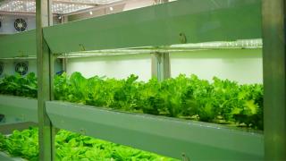 ‘Uzayda Tarım’ programıyla Türkiye geleceğe hazırlanıyor